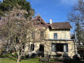 Beletage Johann Strauss